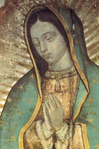 virgendeguadalupe